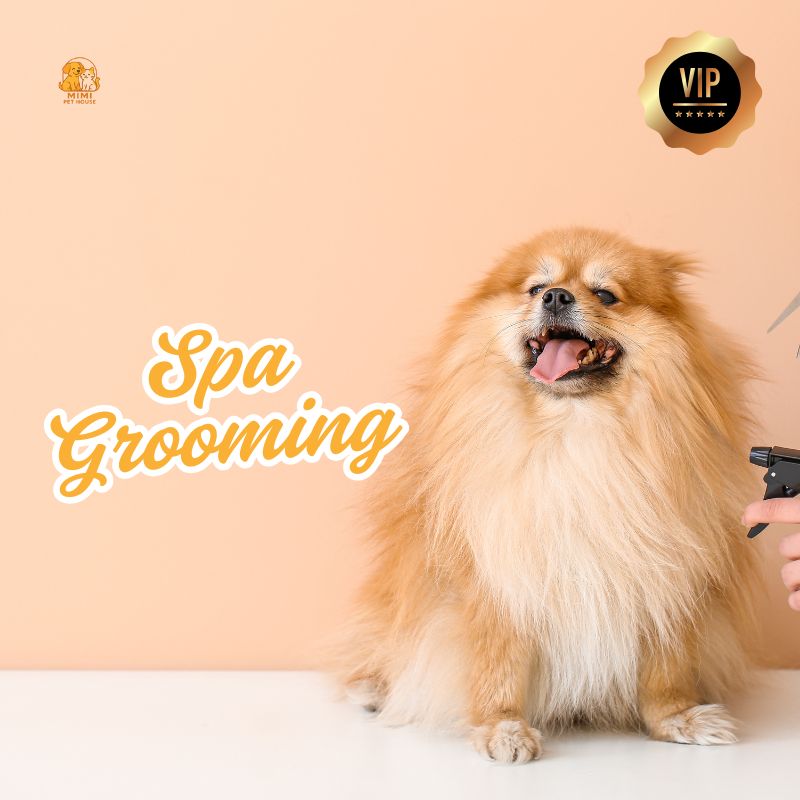 Vip Spa Grooming Chó